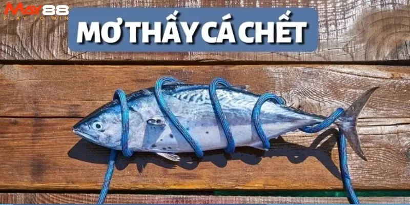 Giấc mơ thấy cá chết mang ý nghĩa gì về tương lai?